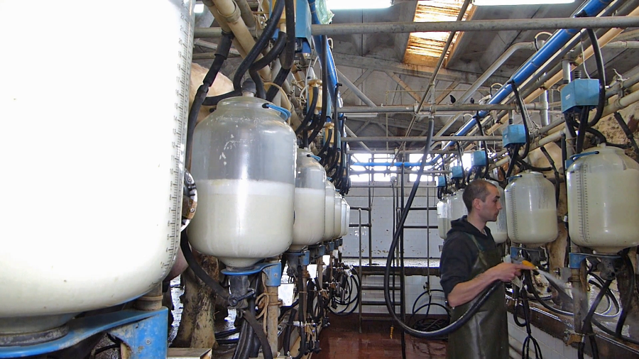 食品级牧场挤奶管的介绍